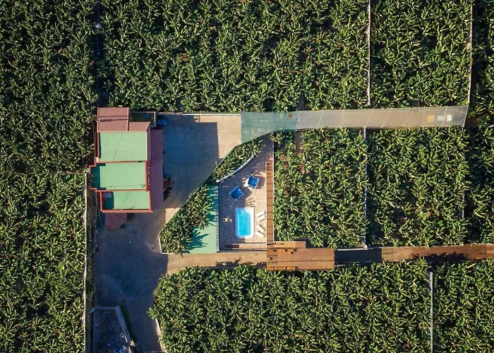 Hacienda La Dehesa (adults Only) 부에나비스타 델 노르테